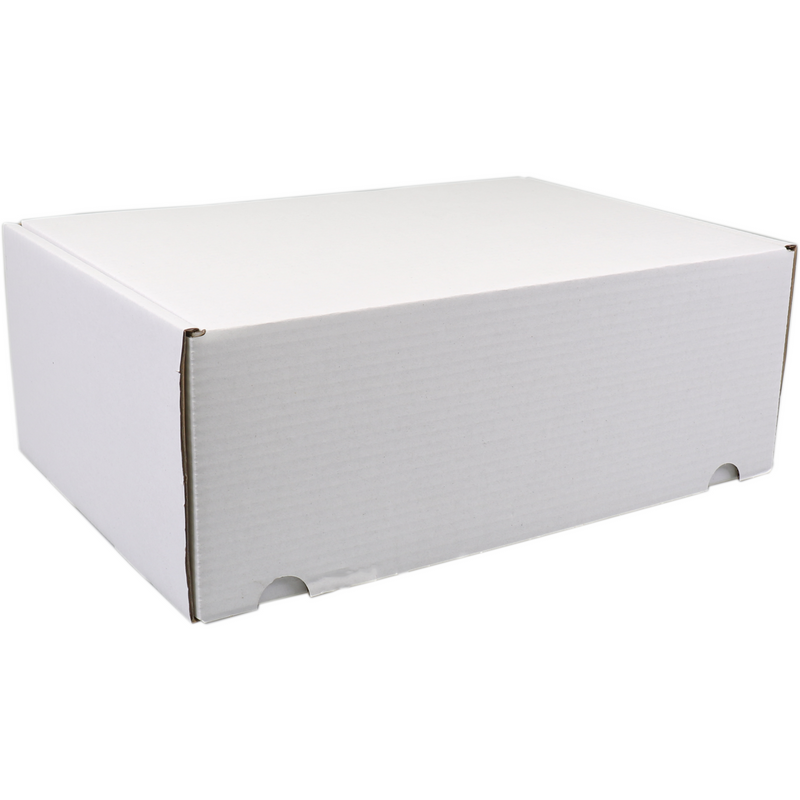 SendProof® - Klappbox Faltschachtel 315x215x120mm weiß