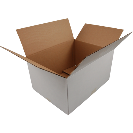 Klika - Amerikanische Faltschachtel | Wellpappe | 250x180x100mm | einzelne Welle | weiß | 25 Stück