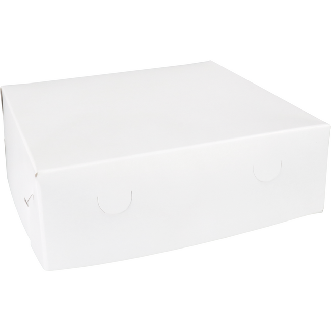 Klika - Schwanenhals / Versandkarton | Pappe | 25x25x8cm | Duplex | weiß | 100 Stück