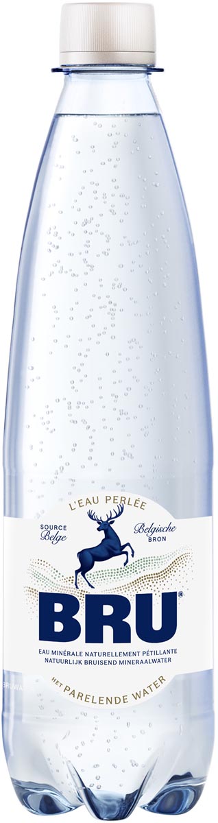 Bru -   lichtsprankelend water, fles van 50 cl, pak van 24 stuks