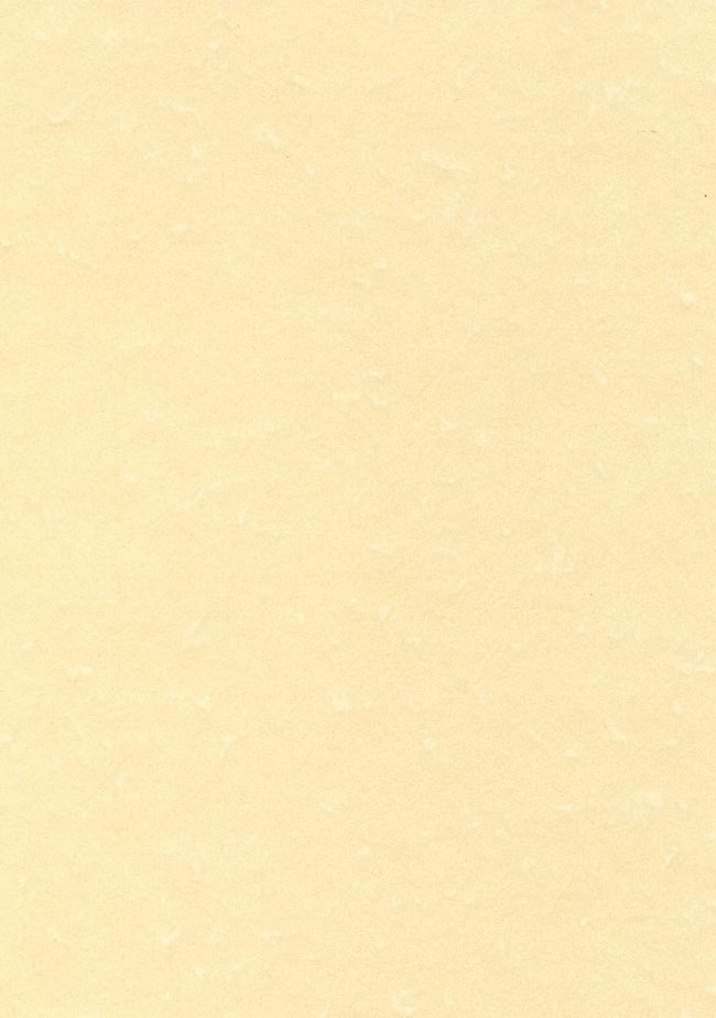 Decadry -   structuurpapier champagne, 165 g, pak van 50 vel