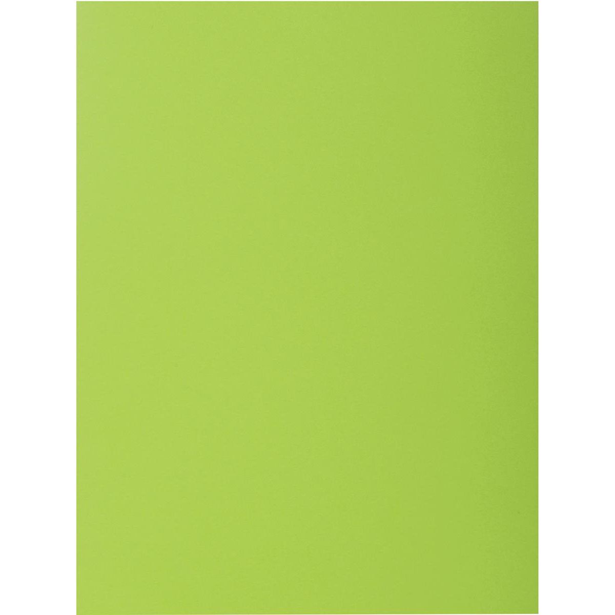 Exacompta - Aktenordner Rock's 80, ft 22 x 31 cm, 100 Stück, Mintgrün