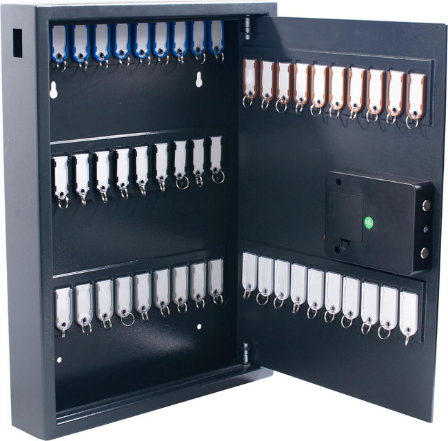 Pavo - Schlüsselschrank hoch y magnetisch 50 Haken 575x450x77mm
