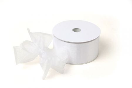 Organza -Band 25 mm x 25 Meter weiß
