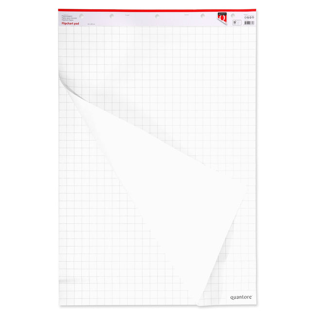 Quantore -  Flipoverpap 65x95cm blanco/ruit 74gr | 2 stuks