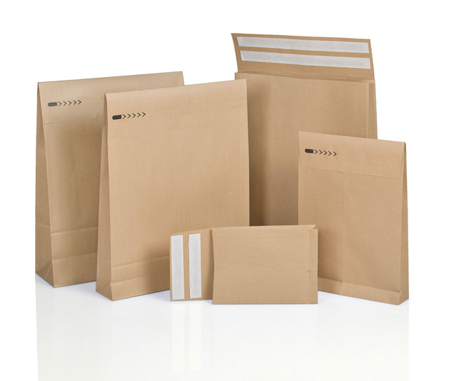IEZZY -  Ec envelop  350x450x120+100 br 200st
