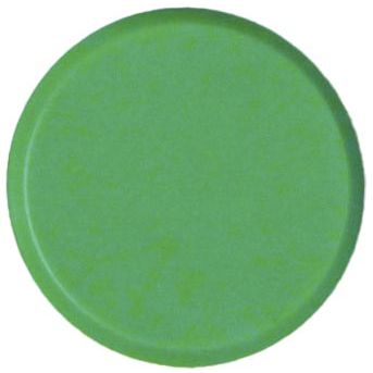 Bouhon - Bouhon-Magnete, 30 mm, grün, 10 Stück