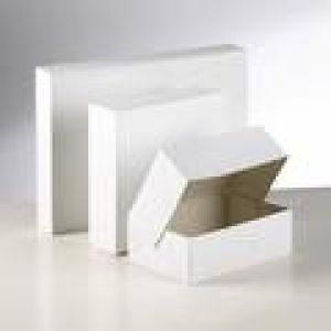 Blanco - Gebäckdose / weiß 20x14x8cm 300 Stück