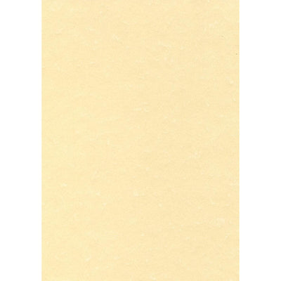 Decadry – strukturiertes Papier Champagner, 165 g, Packung mit 50 Blatt