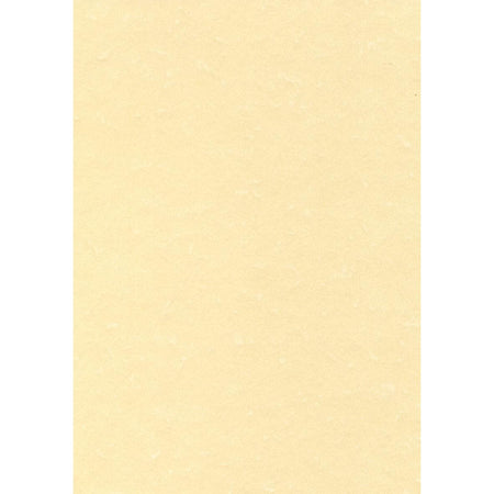 Decadry – strukturiertes Papier Champagner, 165 g, Packung mit 50 Blatt