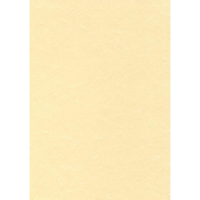 Decadry – strukturiertes Papier Champagner, 165 g, Packung mit 50 Blatt