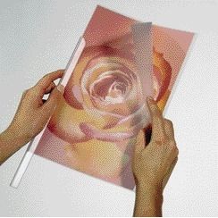 Langlebig – Klemmrückseite A4 1–100 Blatt transparent