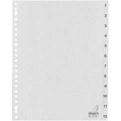 Kangaro - Tabs 23 Löcher G412CM 1-12 nummeriert graues PP