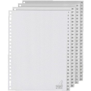 Kangaro - Tabs 23-Loch G4100CM 1-100 nummeriertes graues PP