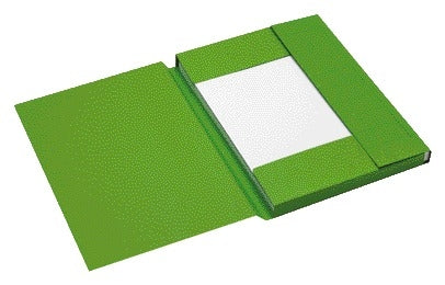Jalema - Aktenordner A4 3kl Recyclingkarton 250gr gn | 25 Stück
