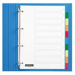 Quantore - Tabs 4-Loch 10 Stück sortierte Tabs PP | 25 Stück