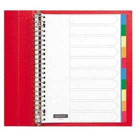 Quantore - Tabs 23-Loch 10-teilige sortierte Tabs PP