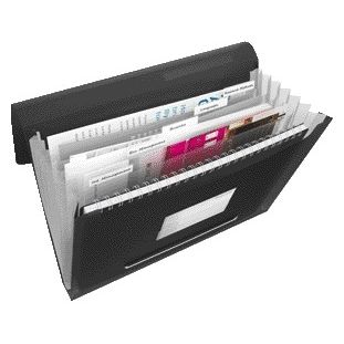 Esselte - Projektmappe Vivida A4 6 Fächer PP schwarz