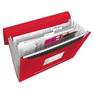Esselte - Projektmappe Vivida A4 6 Fächer PP rot