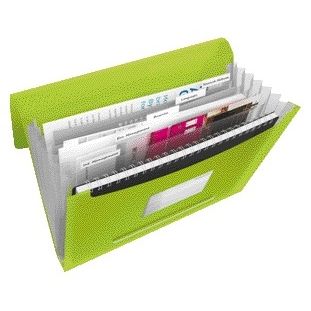 Esselte - Projektmappe Vivida A4 6 Fächer PP grün