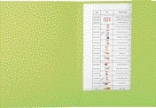 Exacompta - Aktenordner Forever A4 2 Klappen 290gr grün