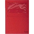 Exacompta - Fensterordner Forever L-Modell 120gr rot 100 Stück