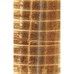 Haza - Polyband 5mm x 250m metallic gold | 12 Stück