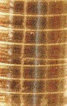 Haza – Polyband 5 mm x 250 m, metallisches Gold