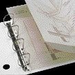 Djois - Aufbewahrungsstreifen-Ordnerstreifen A4 295 mm 2/4 Ringe transparent 25 Stück