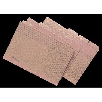 Jalema - Innenordner Djois mit Tabs Folio Beige
