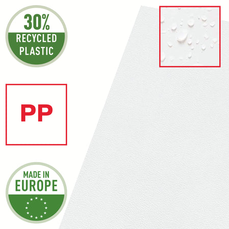 Esselte - Einlegemappe L-Ordner Economy A4 PP transparent