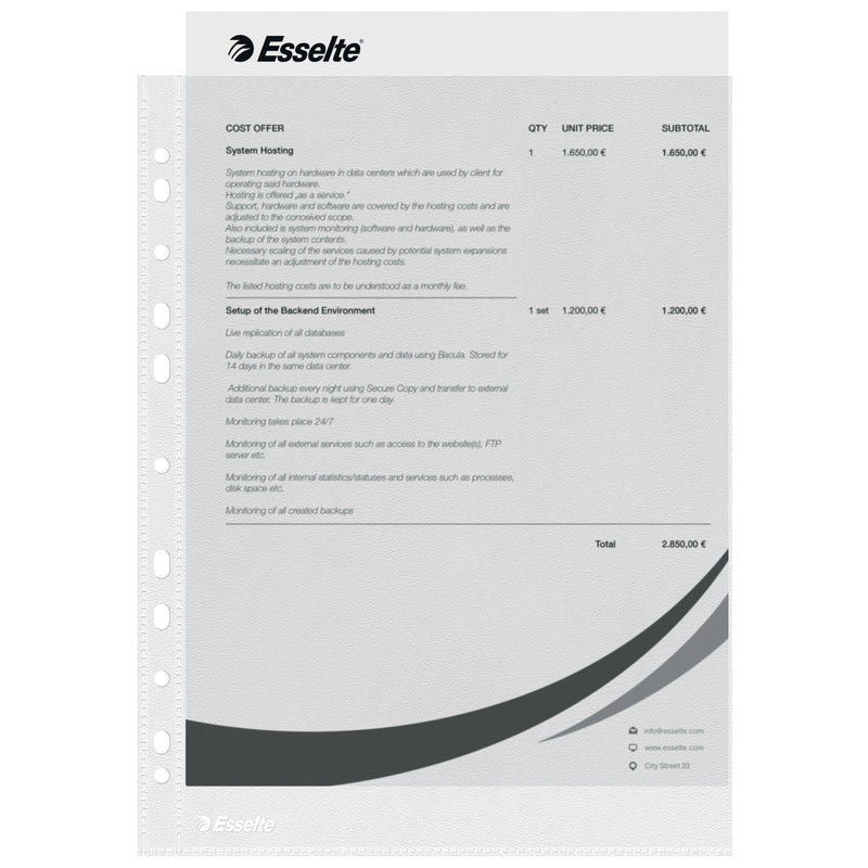 Esselte - Showtasche 16690 Economy A4 PP 0,03mm