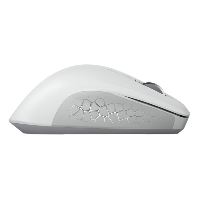 CHERRY -   JW-8550-0 muis Universeel Rechtshandig RF Draadloos Optisch 4000 DPI