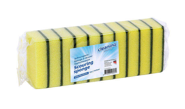 CleanInQ - Sponge 100x70mm GL/Gr 10st durchsuchen
