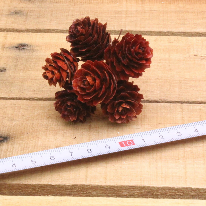 Bonbon doosjes - Chocolade doosje - Deko kerst dennenappels naturel - 1 stuks